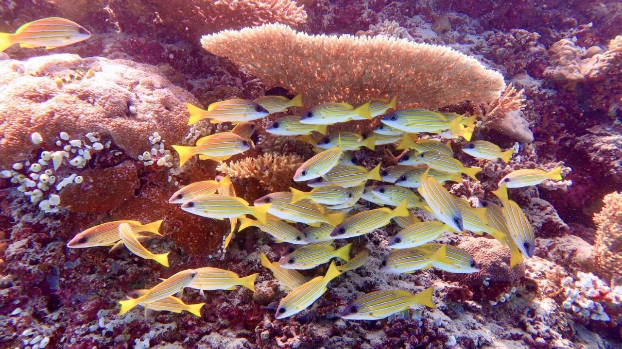 Wow Inn Keyodhoo Keyodhoo  Exteriér fotografie