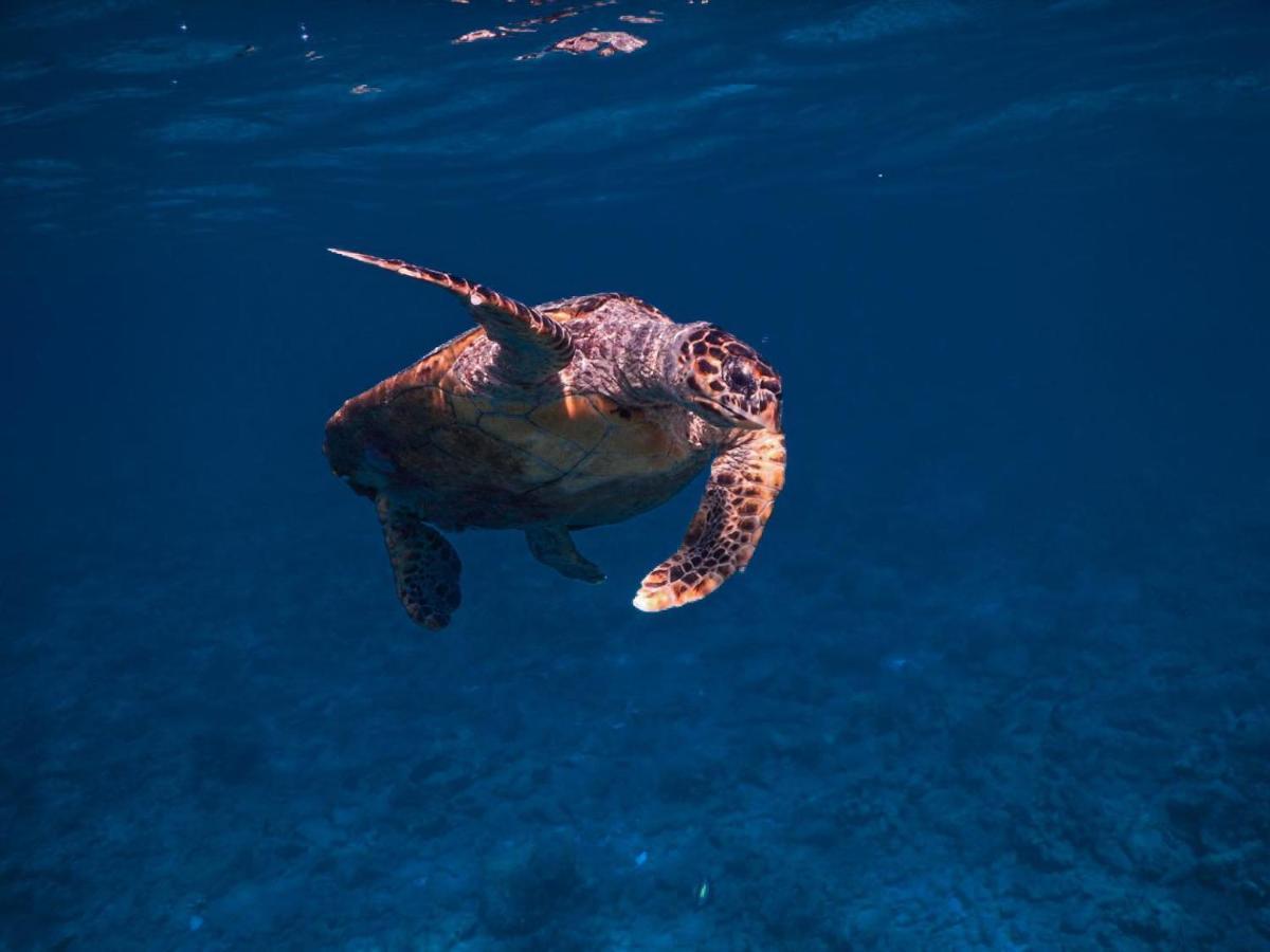 Wow Inn Keyodhoo Keyodhoo  Exteriér fotografie